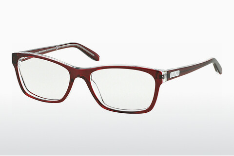 Brýle Ralph RA7039 1081