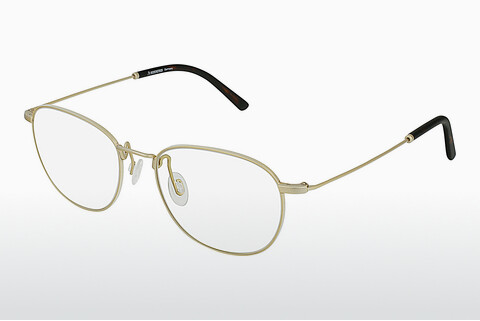 Brýle Rodenstock R2617 B