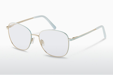 Brýle Rodenstock R2659 C