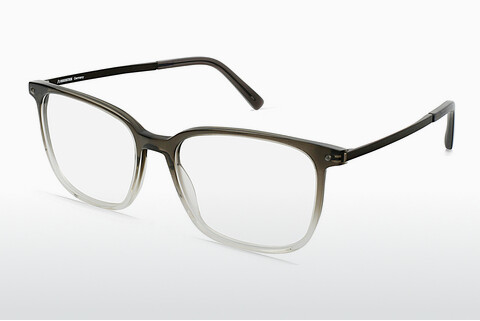 Brýle Rodenstock R5349 C