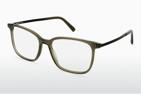Brýle Rodenstock R5349 D