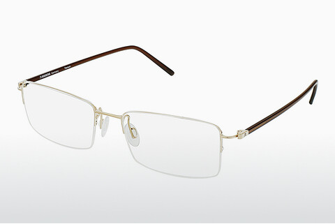Brýle Rodenstock R7074 D