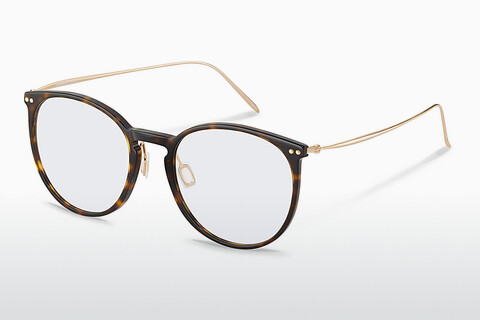 Brýle Rodenstock R7135 C