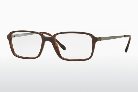 Brýle Sferoflex SF1144 C595