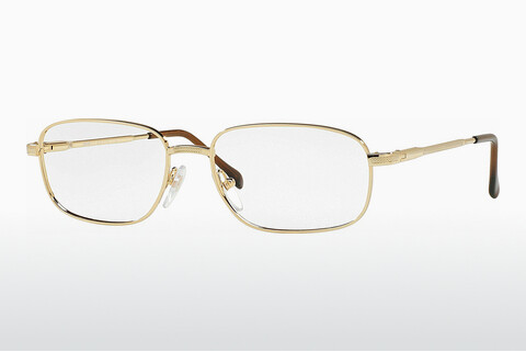 Brýle Sferoflex SF2086 108