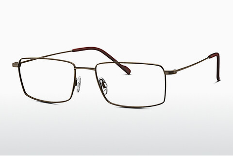 Brýle TITANFLEX EBT 820864 31