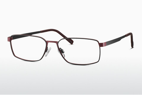 Brýle TITANFLEX EBT 820917 15