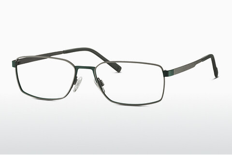 Brýle TITANFLEX EBT 820917 34