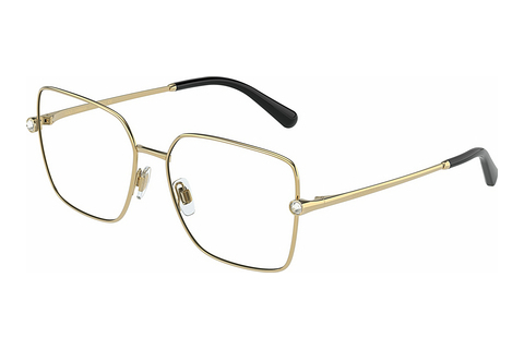 Brýle Dolce & Gabbana DG1341B 02