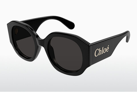 Sluneční brýle Chloé CH0234SK 001