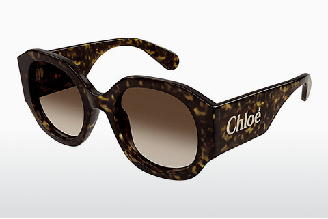 Sluneční brýle Chloé CH0234SK 002