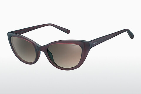 Sluneční brýle Esprit ET40002 577