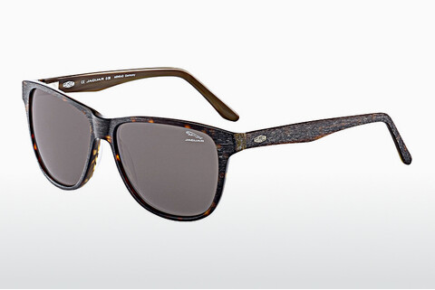 Sluneční brýle Jaguar 37161 6133