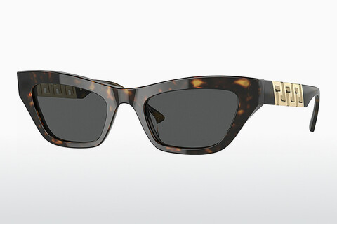Sluneční brýle Versace VE4419 108/87