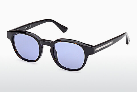 Sluneční brýle Web Eyewear WE0361 56V