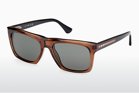 Sluneční brýle Web Eyewear WE0367 50D