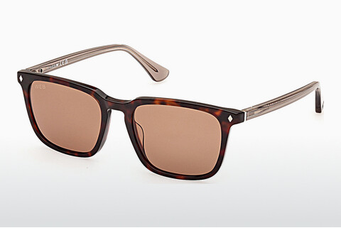 Sluneční brýle Web Eyewear WE0369 56E