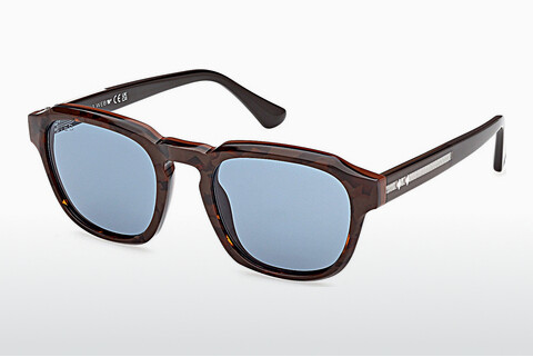 Sluneční brýle Web Eyewear WE0370 56V