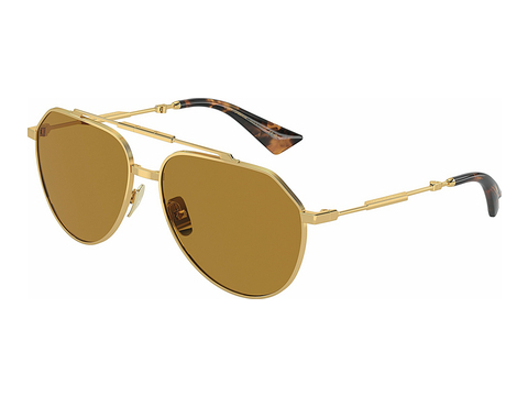 Sluneční brýle Dolce & Gabbana DG2302 02/53