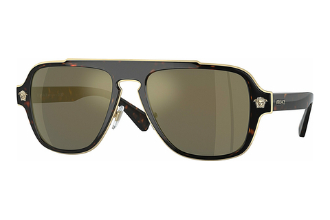 Sluneční brýle Versace VE2199 12524T