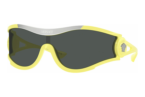 Sluneční brýle Versace VE4475 548687