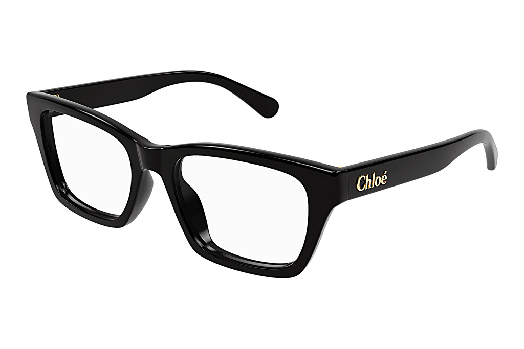 Chloé   CH0242O 005 BLACK