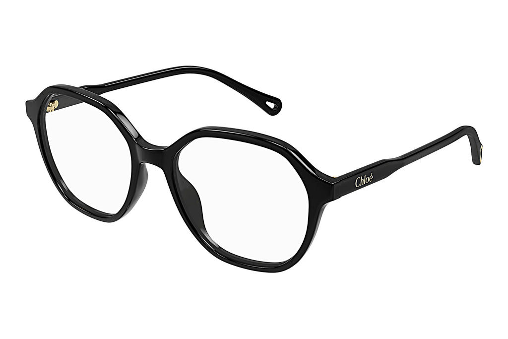 Chloé   CH0312O 001 BLACK