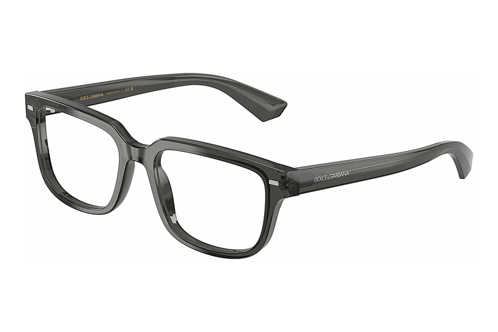 Dolce & Gabbana   DG3380 3160 Transparent Grey