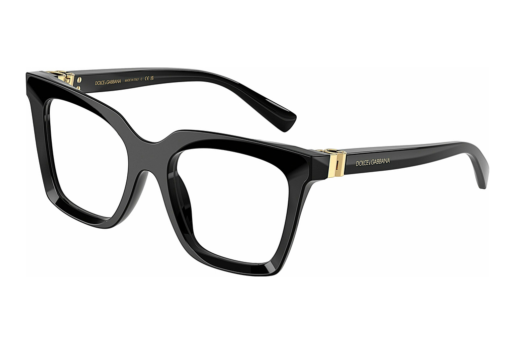 Dolce & Gabbana   DG3417 501 Black