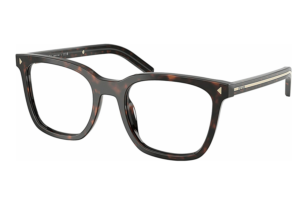 Prada   PR B11V 17N1O1 Root Tortoise