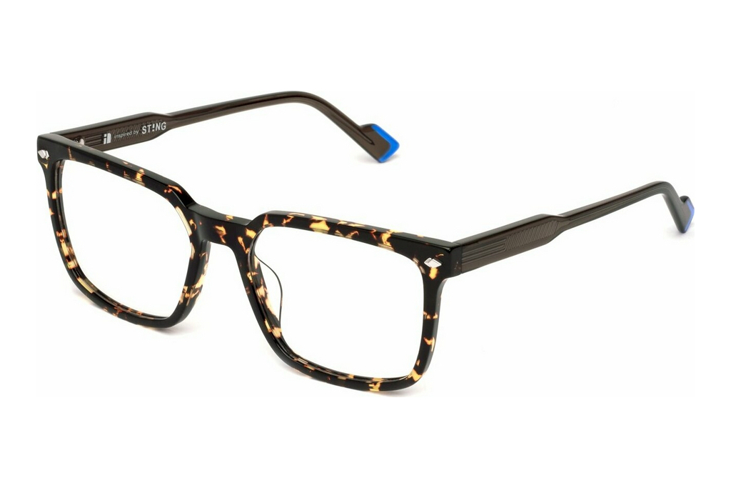 Sting   VST528 09BC BLACK/OCHRE HAVANA