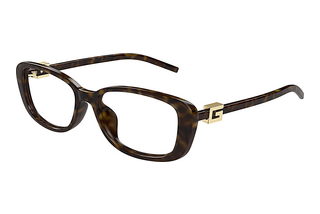 Gucci GG1685OK 003 HAVANA