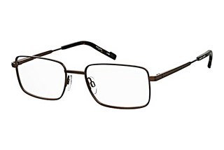 Pierre Cardin P.C. 6900 VZH BRAUN