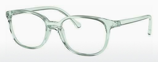 Brýle Ray-Ban Junior RY1900 3837