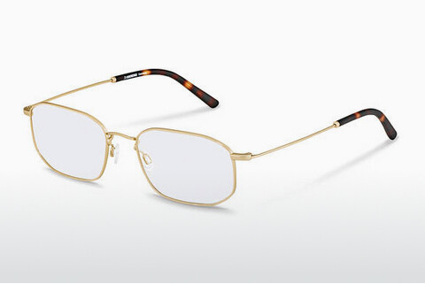 Brýle Rodenstock R2631 B