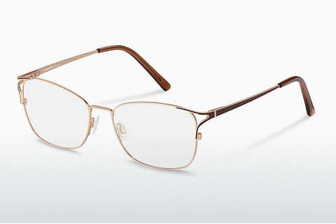 Brýle Rodenstock R2634 C