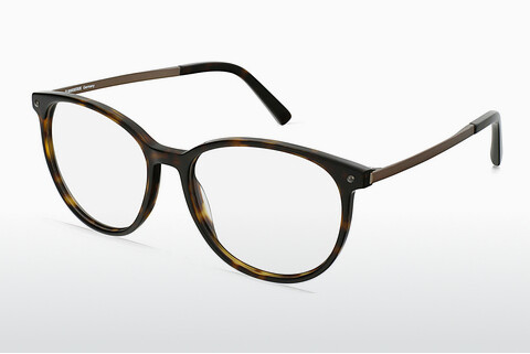 Brýle Rodenstock R5347 B