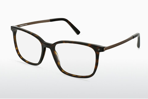 Brýle Rodenstock R5349 B
