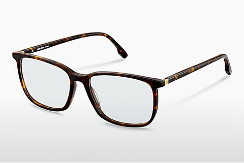 Brýle Rodenstock R5360 B000