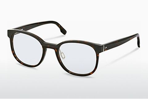 Brýle Rodenstock R5373 B000