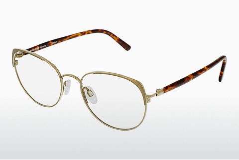 Brýle Rodenstock R7088 C