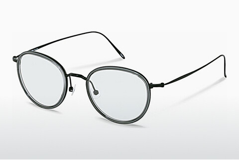 Brýle Rodenstock R7096 E000