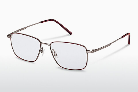 Brýle Rodenstock R7106 C