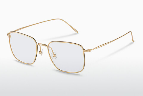 Brýle Rodenstock R7122 D
