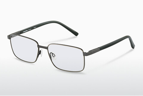 Brýle Rodenstock R7130 D