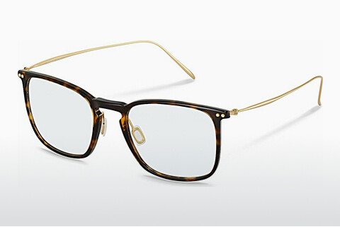 Brýle Rodenstock R7137 B000