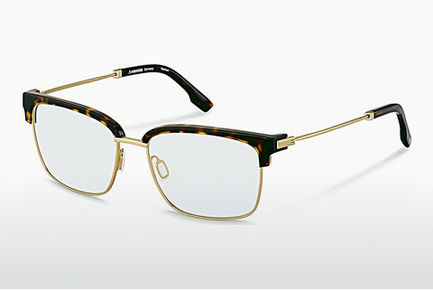 Brýle Rodenstock R8033 B000