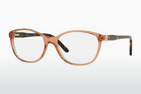 Brýle Sferoflex SF1548 C528