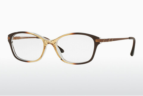 Brýle Sferoflex SF1556 C591