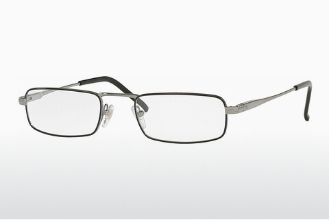 Brýle Sferoflex SF2201 457